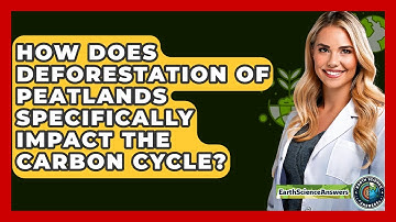 How Does Deforestation Of Peatlands Specifically Impact The Carbon Cycle? - Earth Science Answers