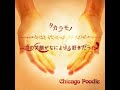 Chicago Poodle 「タカラモノ」