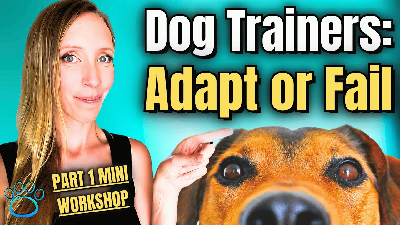 Dog Training Business Challenges Marketing for Dog Trainers