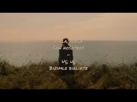 Danit - Cuatro