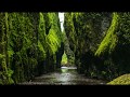 Light Stream, Water sounds, Relaxing Nature Sounds