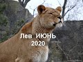 ЛЕВ на ИЮНЬ 2020 г от J Dzay