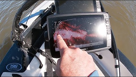 How I use Garmin Panoptix LiveScope to catch bait.