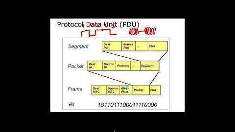 Loop Avoidance Nanda ARP and IP Protocol
