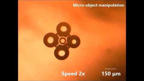Vision-assisted micromanipulation using closed-loop actuation of multiple microrobots