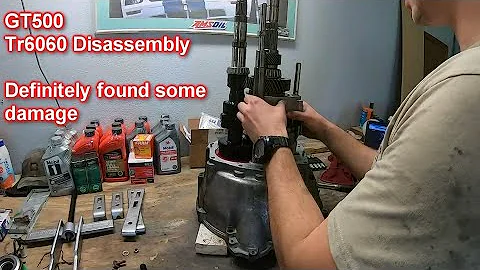 2007 GT500 Tr6060 Disassembly | Trans Rebuild part 3