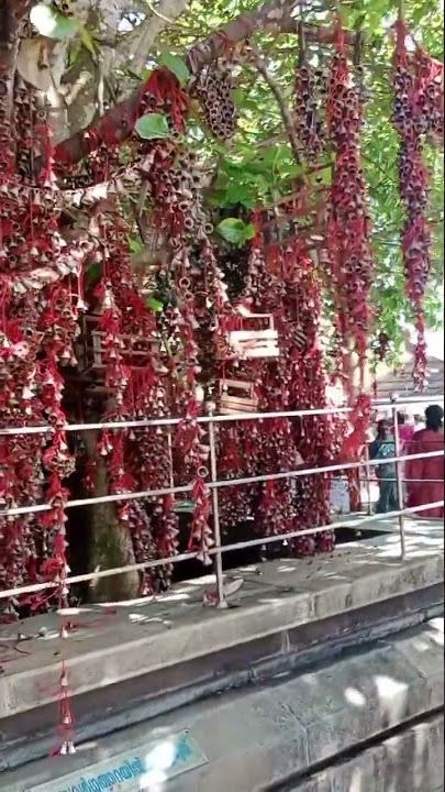 kattil mekkathil Devi Temple chavara, Kollam.Every bell is a dream....@holdinghandwithme6025