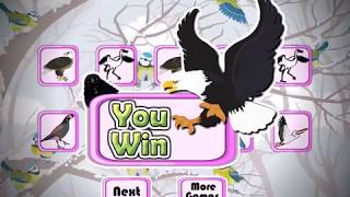 Colorful-Birds-Memory-Game-2 screenshot 5