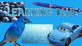 Things that are blue ( reading log) kindergarten