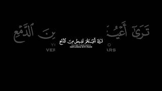 و إذا سمعوا ما أنزل إلى الرسول | القارئ الشيخ سعود الشريم #القرآن_الكريم #كروما_شاشة_سوداء