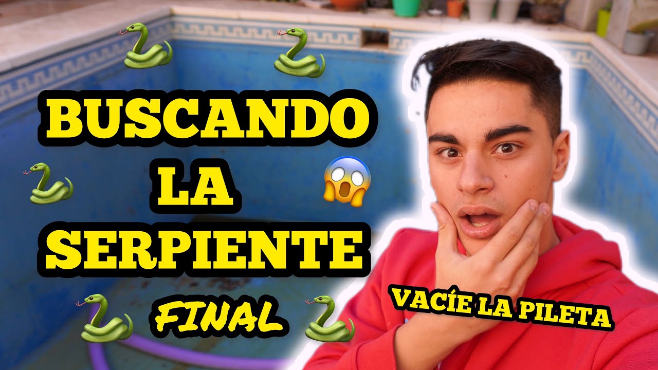 VACÍE LA PILETA DE MI CASA PARA BUSCAR LA SERPIENTE 😱 🐍  *FINAL*