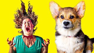 МЫ СОЖРАЛИ ЧЕЛОВЕЧИХУ!! (Корги Кекс) Говорящая собака