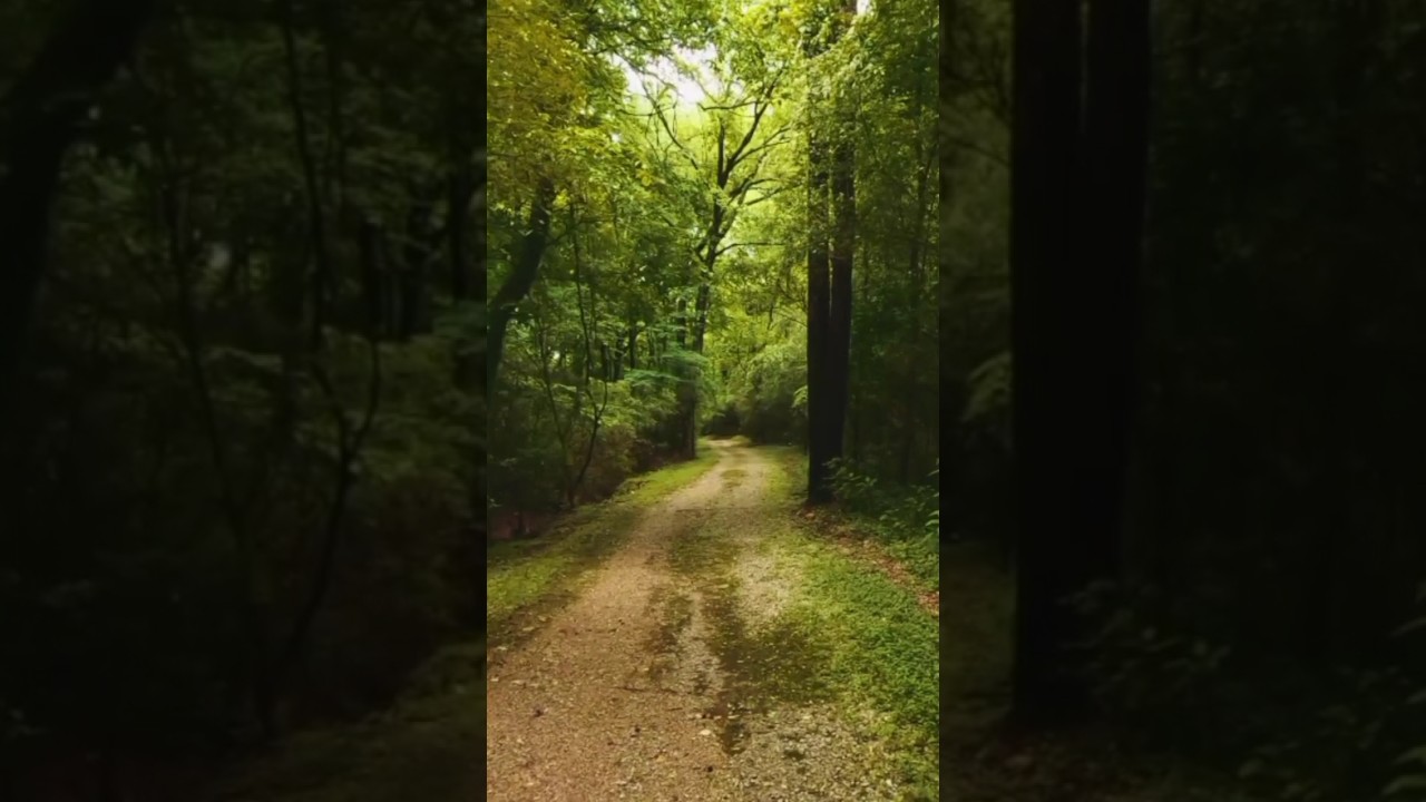 Breathe in peace, breathe out stress 🌿