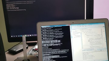 Simple Echo Server and Client