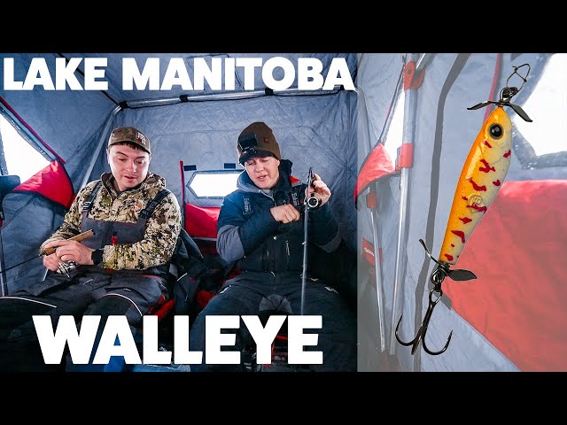 Scissorkick Walleye! Testing out a new lure on Lake Manitoba