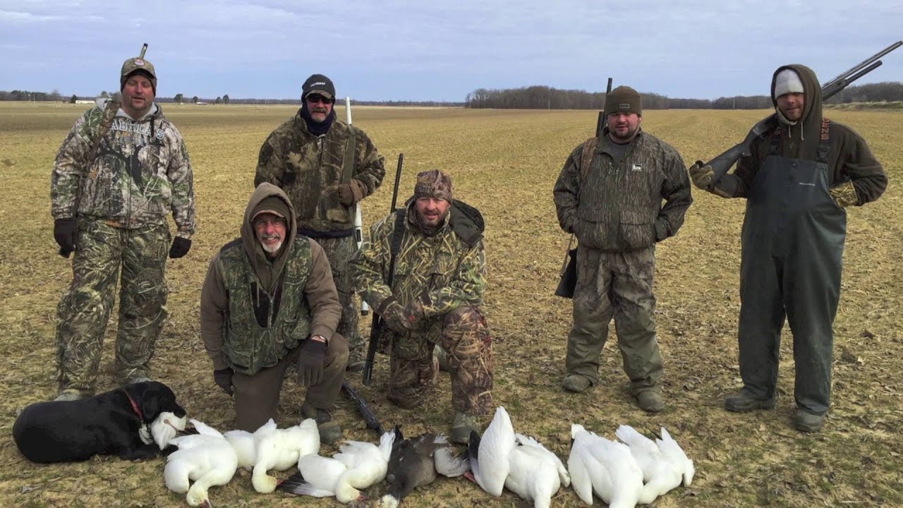 2016 Arkansas Snow Goose YouTube