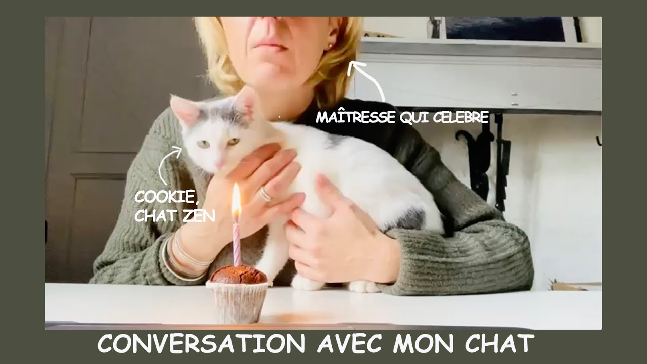 Conversation Avec Mon Chat Chat D Anniversaire Youtube Conversation Avec Mon Chat Chat D Anniversaire Youtube