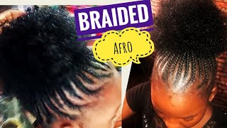 Braided afro ponytail hairstyle