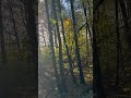 Naturabenteuer - Laublauf
