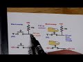 Pull up or down resistor circuit fragment schematic diagram by electronzap