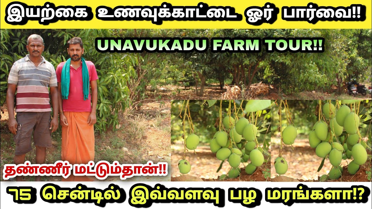0.75 ஏக்கரில் உணவுக்காட்டில் இவ்வளவு மரங்களா!? | Unavukadu in tamil | Food forest farming in tamil |
