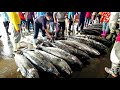 台灣最生猛旗魚拍賣,切割-東港漁港-台灣漁港/The hottest in Taiwan Swordfish Auction,Cutting-Taiwan Fishing Port