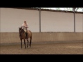Pia Haas Akademische Reitkunst Mit Sailena Pia Haas Akademische Reitkunst Mit Sailena