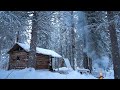Solo living in a log cabin off grid