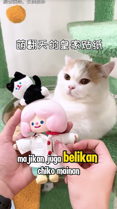 Chiko Ketakutan Oreo Datang #shorts