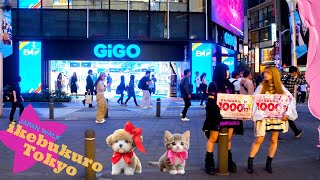 tokyo ikebukuro🐶🍻the world of anime and games♪💖4k relax/study non-stop 1 hour 01 minutes