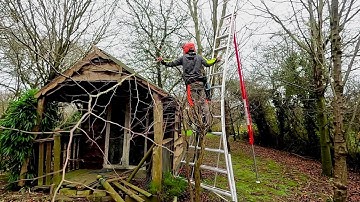 Little Woodland TIDY UP, Storm Damaged Tree Trimming & Pruning