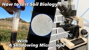 How to test your Soil Biology using a Shadowing Microscope / Part 1
