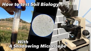How to test your Soil Biology using a Shadowing Microscope / Part 1 Profile