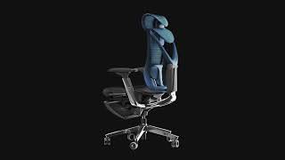 ADAPWORK S1 Mesh Pro Max Senior ErgoChair. Backrest functions and adjustments. Part 1