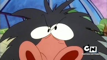 I Am Weasel I.R Baboon wants to play anything