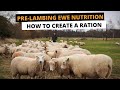 PRE-LAMBING EWE NUTRITION | HOW TO CREATE A RATION