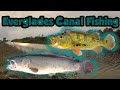 Multispecies Canal Fishing in the Everglades