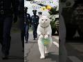 Funny Cat Shorts| "Baby Cat का Tank Attack 😼💥 |"#shorts #funnyshorts #youtubeshorts#animals #ai