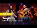 Rafael Perona y Carmen Amador - &quot;Tangos&quot; (Punts de Vista 2024)