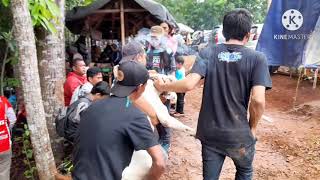 Suasana berlangsungnya kontes ketangkasan anjing