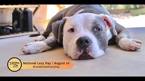 National Lazy Day | August 10