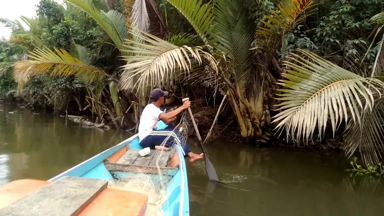 Pemasangan jaring/ pukat kasai