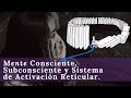 Las Mente Consciente, Subconsciente y el Sistema de Activación Reticular.