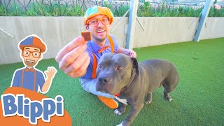 Blippi visita un Refugio de Animales  Blippi Españo | Aprende Colores y Objetos