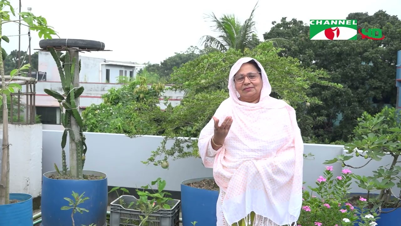 শহরের ছাদে সফল সবজি চাষের গল্প