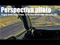 Despegue y Aterrizaje I Perspectiva  piloto I B737 800