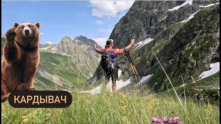 видео: Озеро Верхний Кардывач / Долгожданная встреча с медведем картинка: Озеро Верхний Кардывач / Долгожданная встреча с медведем