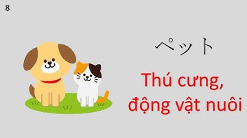 Từ vựng minano nihongo N4 | Bài 27