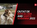 PRIMAFLOR / MONDRAKER TEAM IN CIUTAT DE BARCELONA AND SANTA SUSANNA 2022