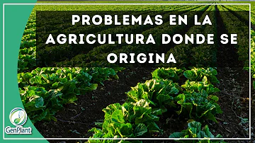 ¿Cuál es el mayor problema de la agricultura?